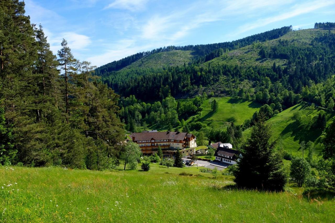 Wellnesshotel Tanne Baiersbronn Kültér fotó